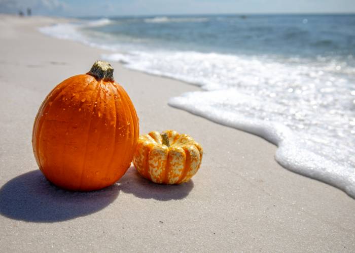 Pumpkin On Pensacola Beach